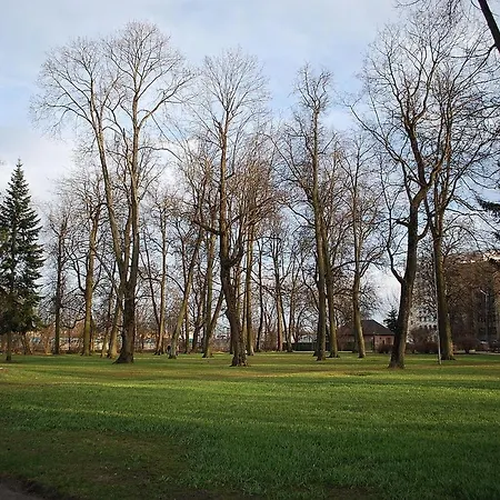 S22 * Riga